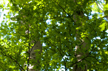 Similar image 1322310