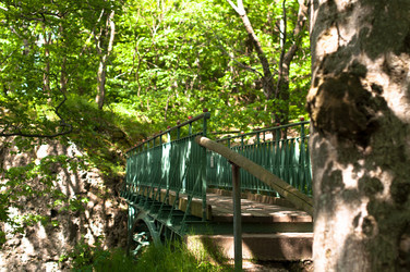 Similar image 1322313