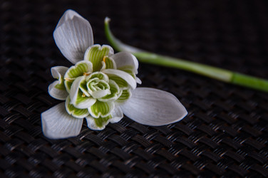 Similar image 1322315