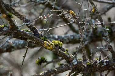 Similar image 1322320