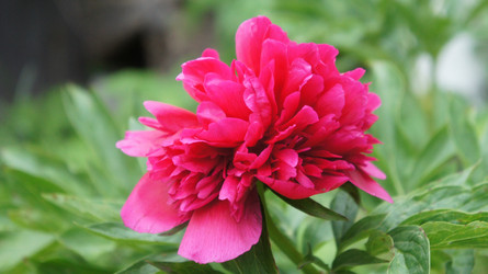 Similar image 1322362