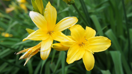 Similar image 1322363