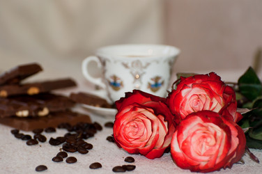 Similar image 1322366