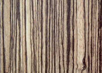 Similar image 1322381