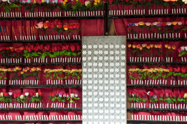 Similar image 1322383