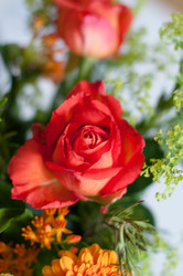 Similar image 1322430