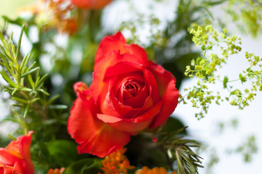 Similar image 1322456