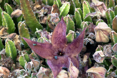 Similar image 1322522