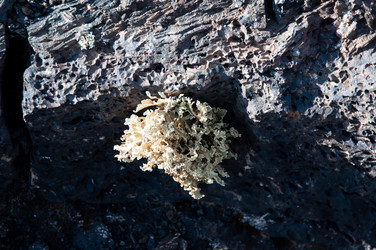 Similar image 1322531