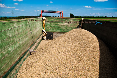 Similar image 1322532