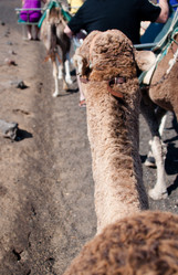 Similar image 1322583