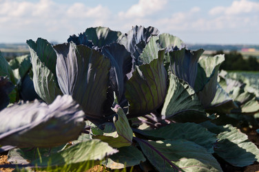 Similar image 1322594