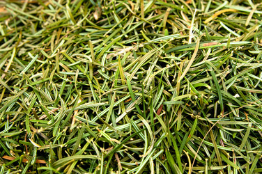 Similar image 1322603