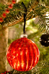 Similar image 1322605