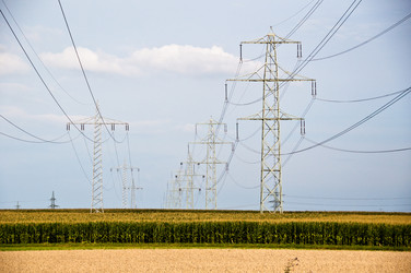 Similar image 1322630