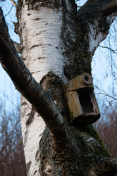 Similar image 1322643