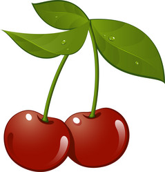 Similar image 1322694