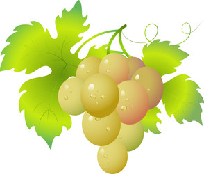 Similar image 1322704