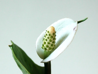 Similar image 1322707