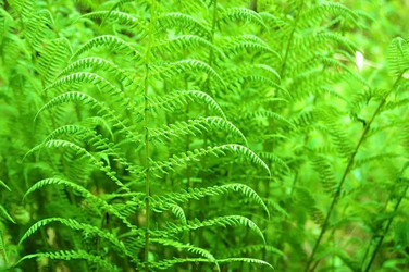 Similar image 1322711