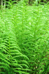 Similar image 1322712