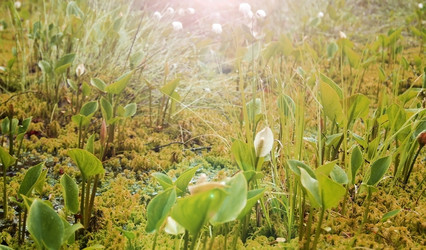 Similar image 1322713