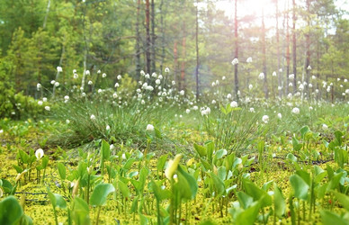 Similar image 1322714