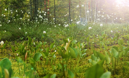 Similar image 1322715