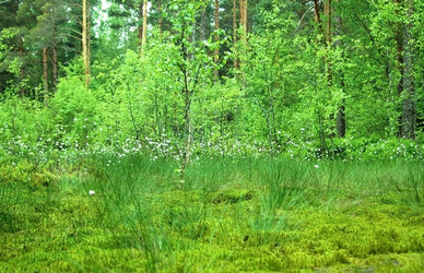 Similar image 1322716