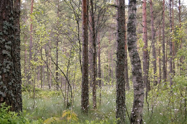 Similar image 1322717