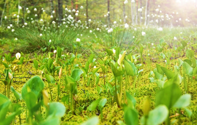 Similar image 1322718