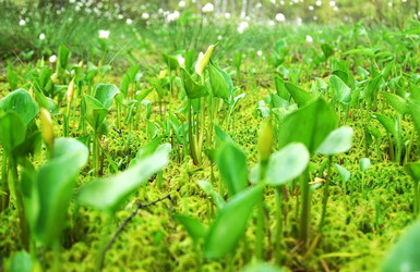 Similar image 1322719