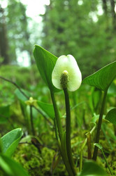 Similar image 1322720