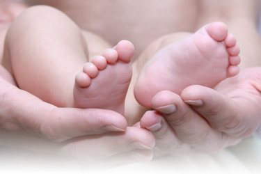 Similar image 1322727