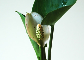 Similar image 1322739