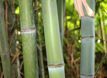 Similar image 1322747