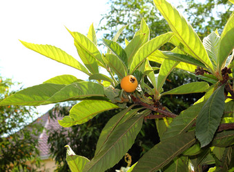 Similar image 1322748