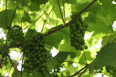 Similar image 1322749