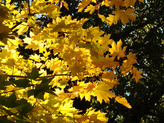 Similar image 1322769