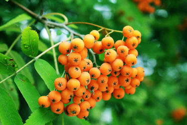 Similar image 1322774