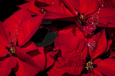 Similar image 1322800