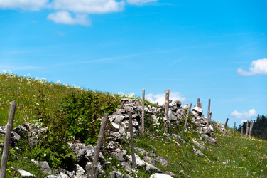 Similar image 1322826