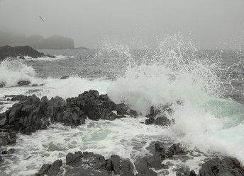 Similar image 1322896