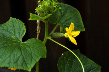 Similar image 1322898