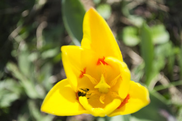 Similar image 1322908