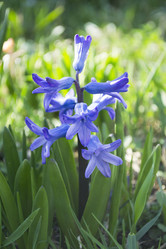 Similar image 1322913