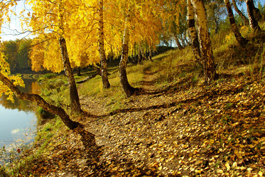 Similar image 1322929