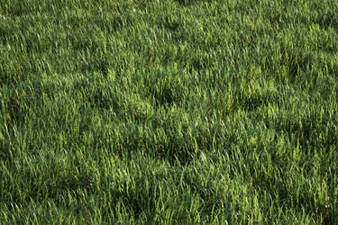 Similar image 1322944