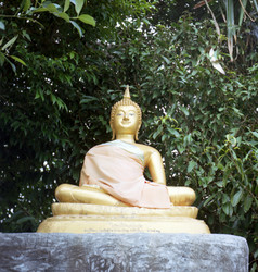 Similar image 1323130