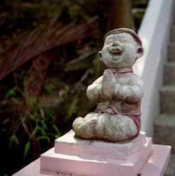 Similar image 1323132